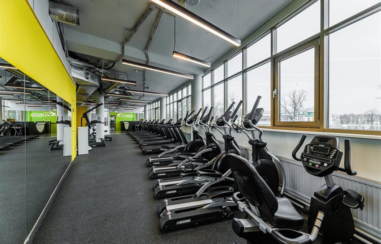 Панорамные окна тренажерного зала Top GYM